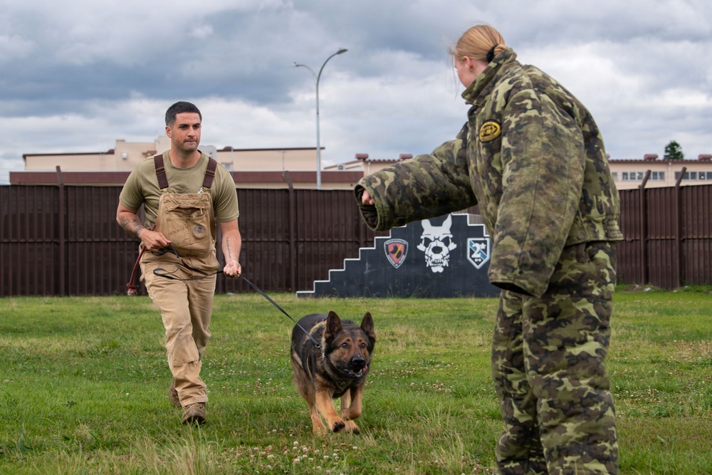 USAFA cadets attend K-9 and SIM rounds demonstration