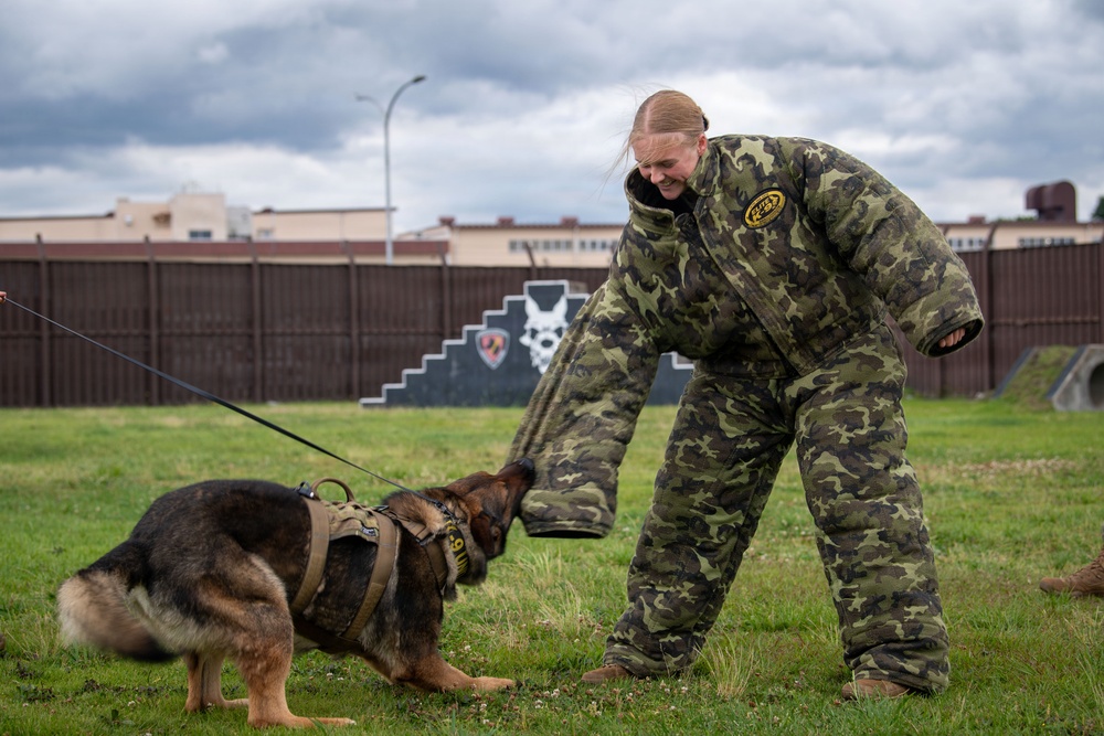 USAFA cadets attend K-9 and SIM rounds demonstration