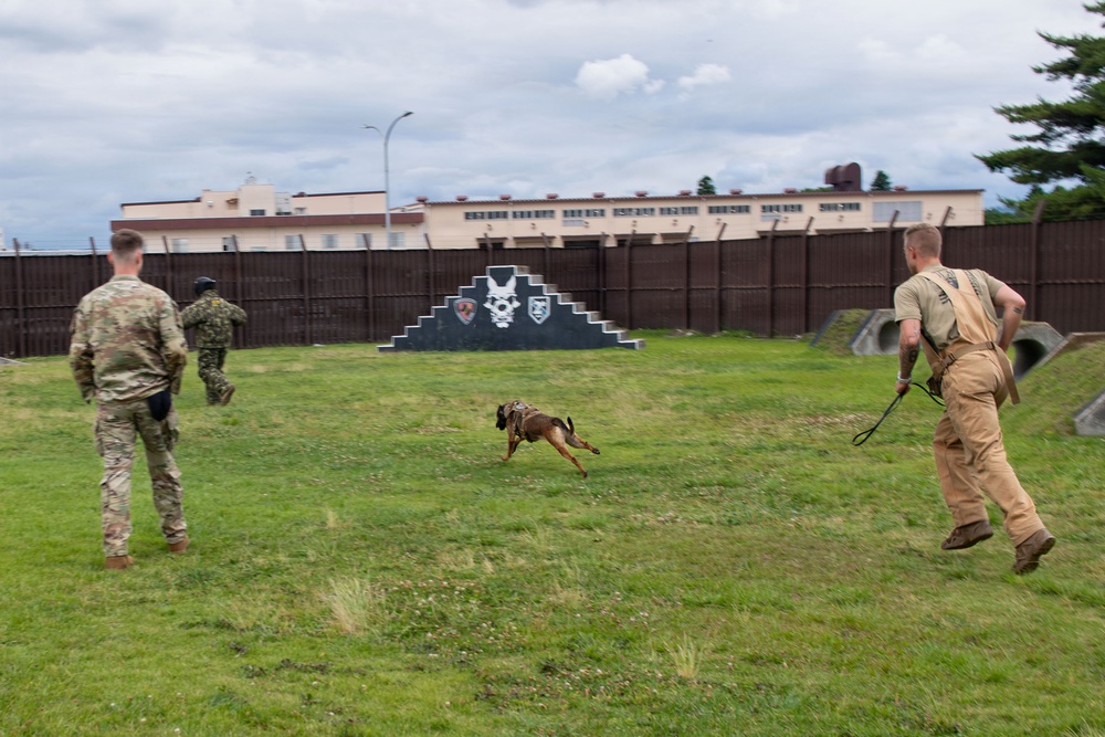 USAFA cadets attend K-9 and SIM rounds demonstration