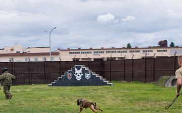 USAFA cadets attend K-9 and SIM rounds demonstration