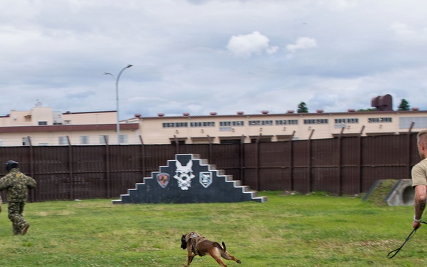 USAFA cadets attend K-9 and SIM rounds demonstration