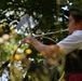USAG Stuttgart hosts Jägerschlag at historic hunting tunnels