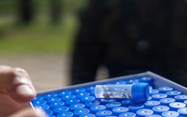 U.S. service members research ticks in the Baltic Region to target health threats