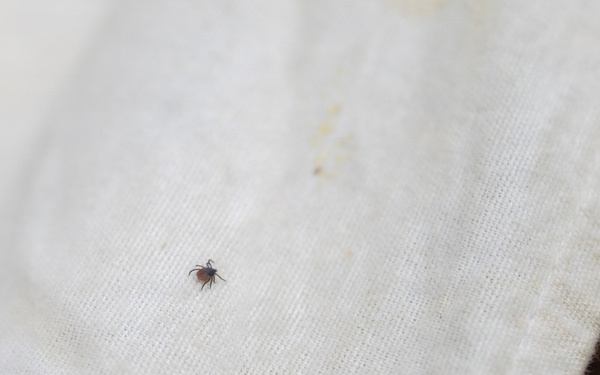 U.S. service members research ticks in the Baltic Region to target health threats