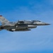 Allies &amp; Partners: RED FLAG-Alaska 26-2 strengthens interoperability