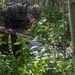 U.S. service members research ticks in the Baltic Region to target health threats
