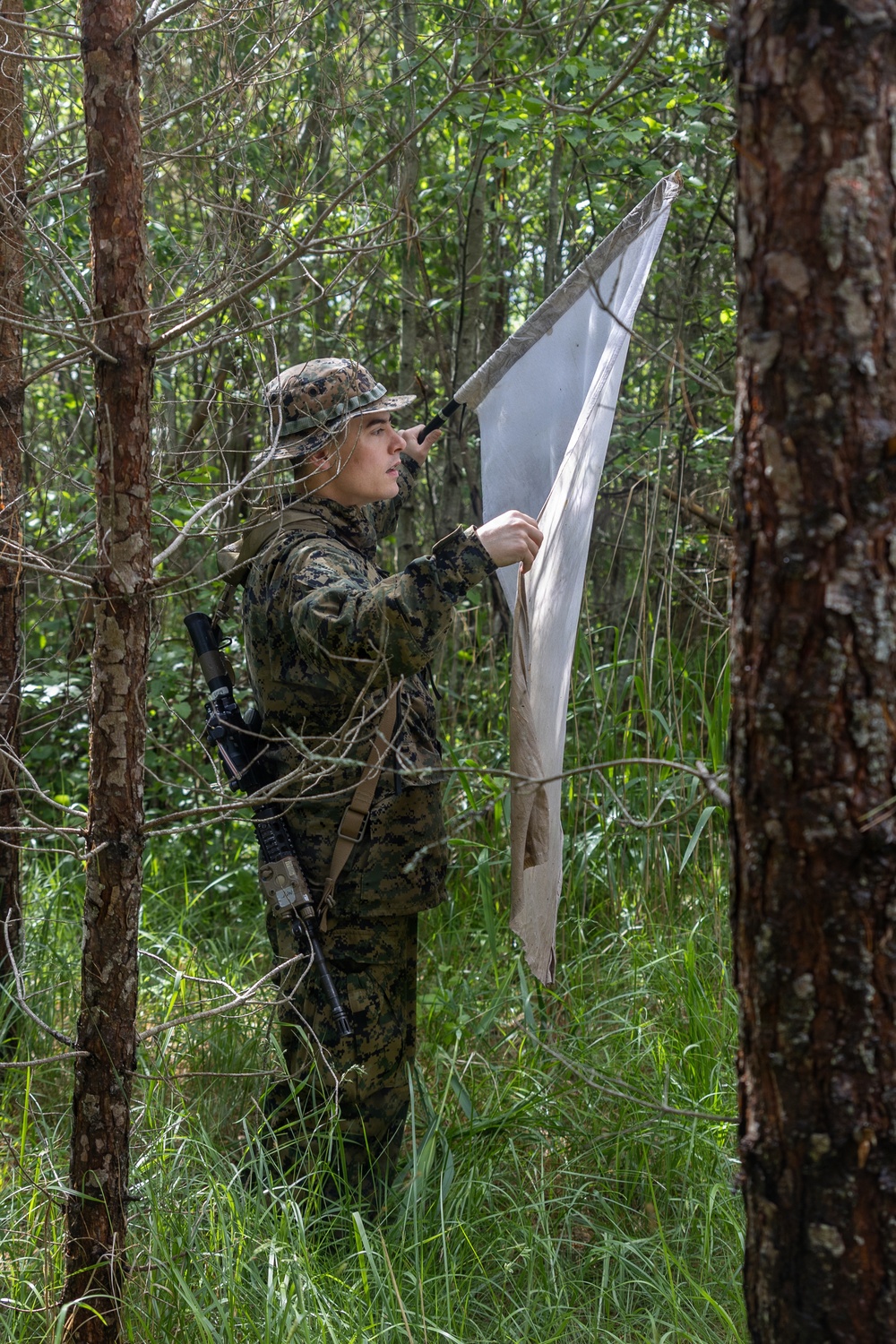 U.S. service members research ticks in the Baltic Region to target health threats