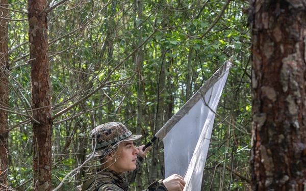U.S. service members research ticks in the Baltic Region to target health threats