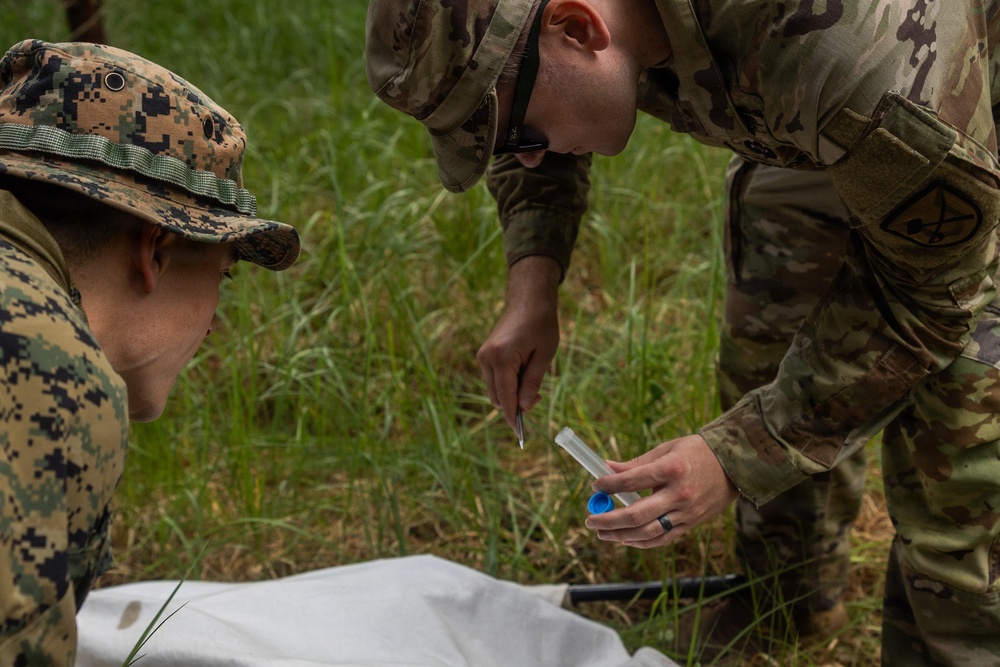 U.S. service members research ticks in the Baltic Region to target health threats