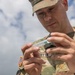 U.S. service members research ticks in the Baltic Region to target health threats