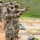 Precision on a Hot Range: Earning the Norwegian Sharpshooter Badge!