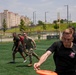 KATUSA Friendship Week Ultimate Frisbee Match