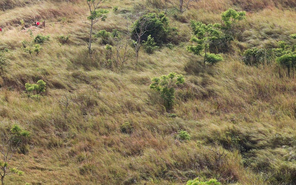 3rd Littoral Combat Team trains with attack drones and snipers in the Philippines