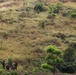 3rd Littoral Combat Team trains with attack drones and snipers in the Philippines