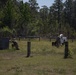 Buddy Team Live Fire