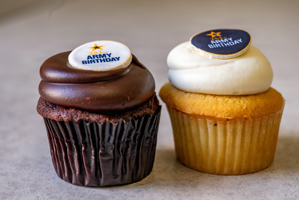Capitol Hill Cupcake Delivery honoring the U.S. Army’s 251st Birthday