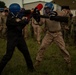 U.S. Marines compete in pugil stick training during Sea Breeze 26 in Romania
