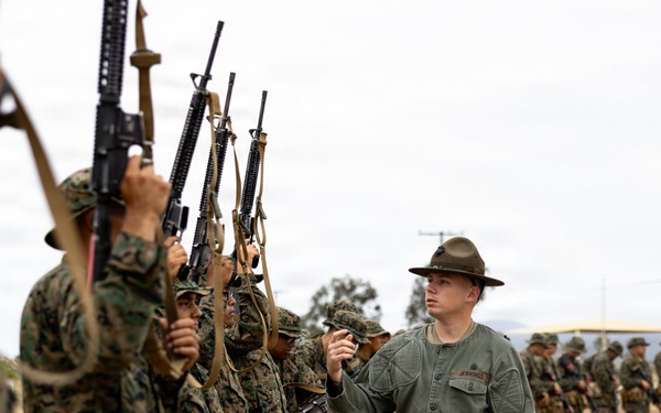 Bravo Company Grass Week