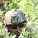 OCS Field Training Tests Leadership