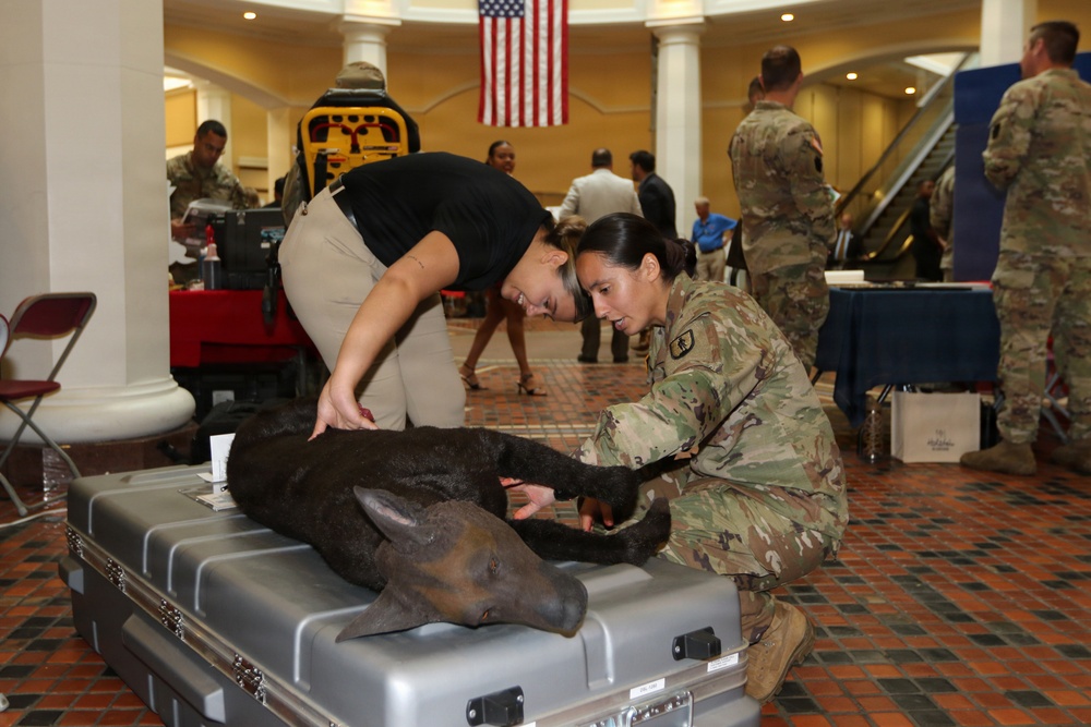 166th RTI displays capabilities at state Capitol