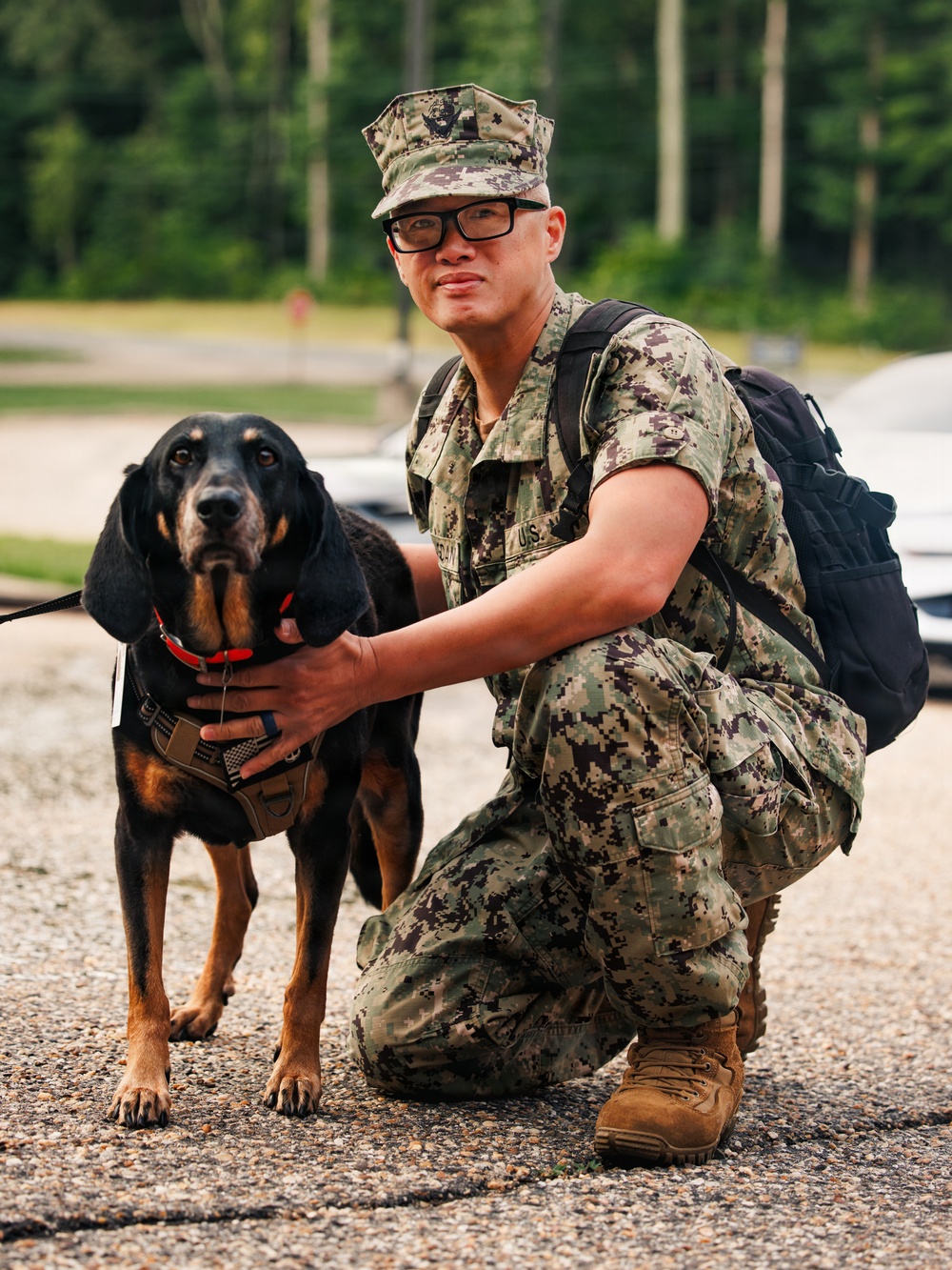 Therapy Dog Bristol visits Marines and Sailors aboard MCB Quantico health clinics