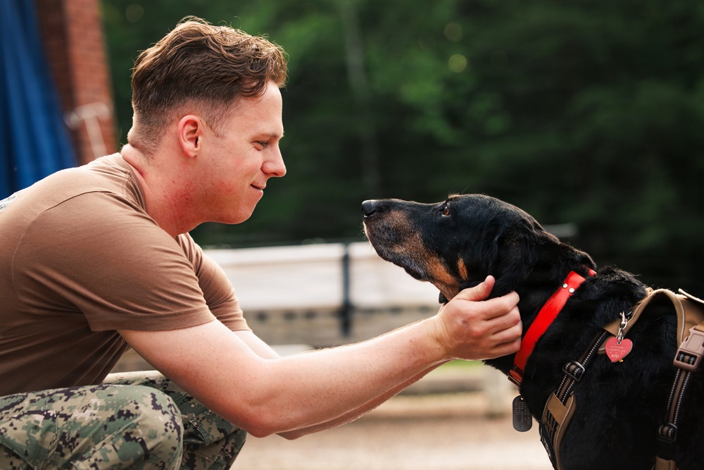 Therapy Dog Bristol visits Marines and Sailors aboard MCB Quantico health clinics