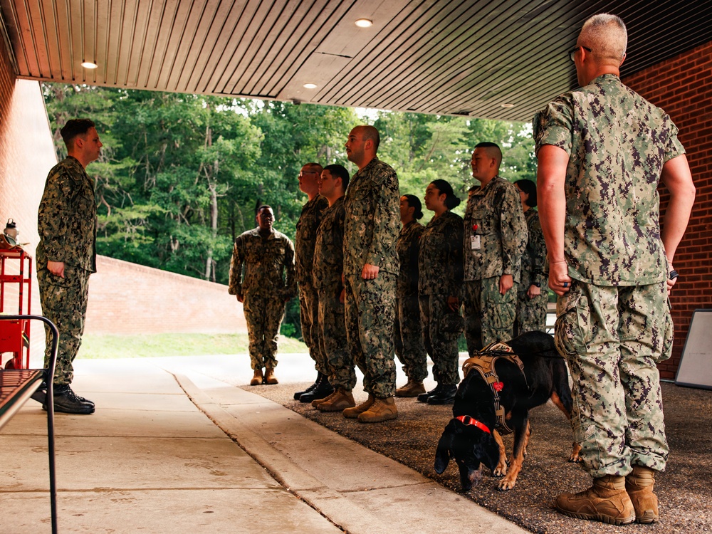 Therapy Dog Bristol visits Marines and Sailors aboard MCB Quantico health clinics