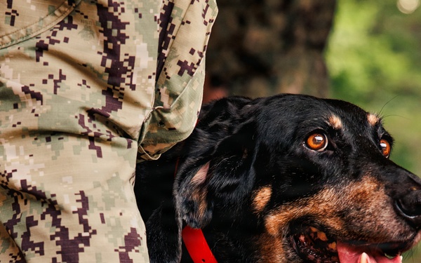 Therapy Dog Bristol visits Marines and Sailors aboard MCB Quantico health clinics