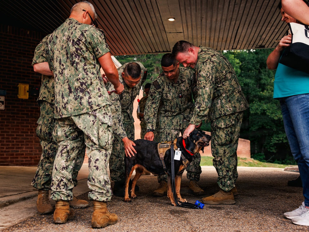 Therapy Dog Bristol visits Marines and Sailors aboard MCB Quantico health clinics