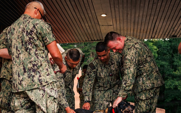 Therapy Dog Bristol visits Marines and Sailors aboard MCB Quantico health clinics