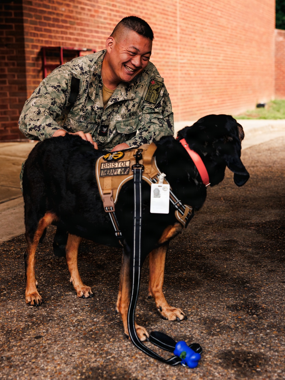 Therapy Dog Bristol visits Marines and Sailors aboard MCB Quantico health clinics