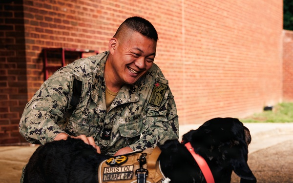Therapy Dog Bristol visits Marines and Sailors aboard MCB Quantico health clinics