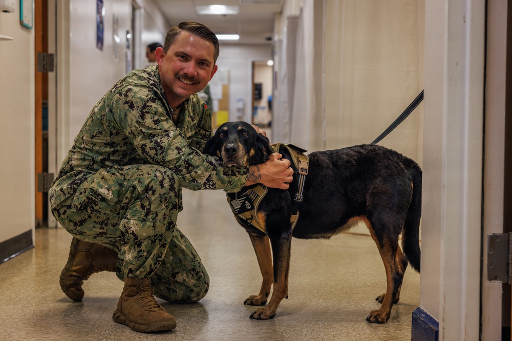Therapy Dog Bristol visits Marines and Sailors aboard MCB Quantico health clinics