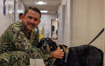 Therapy Dog Bristol visits Marines and Sailors aboard MCB Quantico health clinics