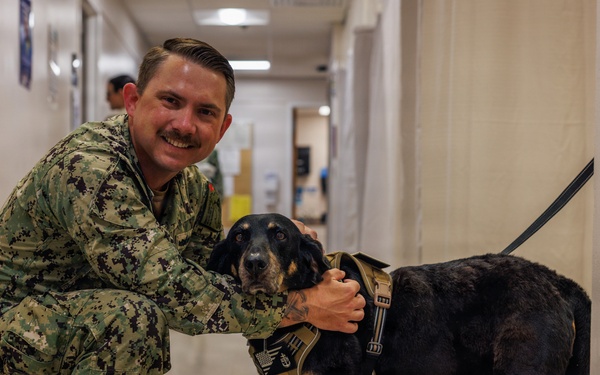 Therapy Dog Bristol visits Marines and Sailors aboard MCB Quantico health clinics