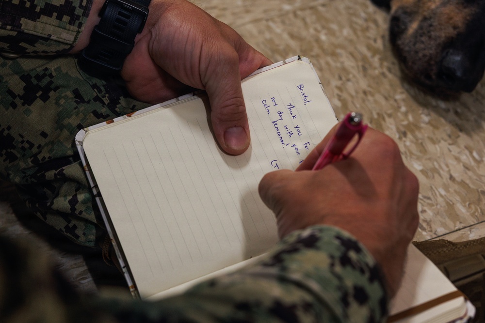 Therapy Dog Bristol visits Marines and Sailors aboard MCB Quantico health clinics