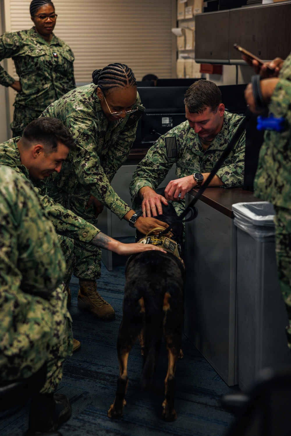 Therapy Dog Bristol visits Marines and Sailors aboard MCB Quantico health clinics