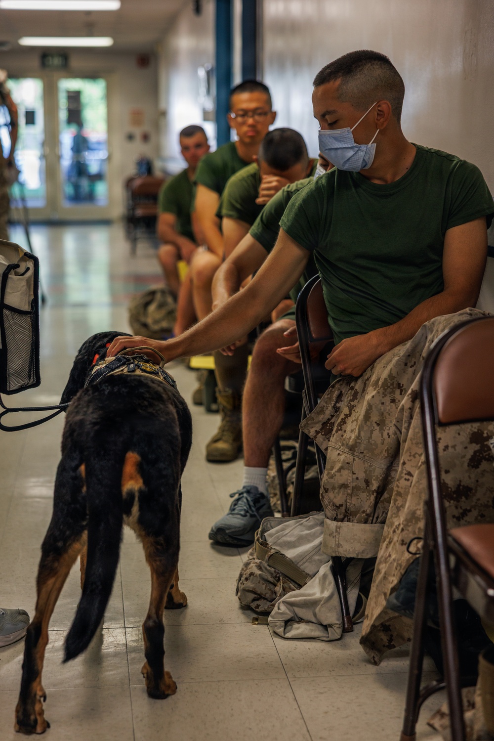 Therapy Dog Bristol visits Marines and Sailors aboard MCB Quantico health clinics