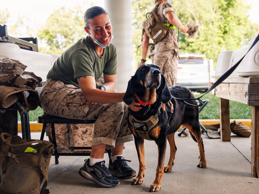Therapy Dog Bristol visits Marines and Sailors aboard MCB Quantico health clinics