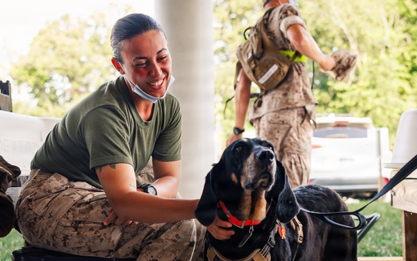 Therapy Dog Bristol visits Marines and Sailors aboard MCB Quantico health clinics