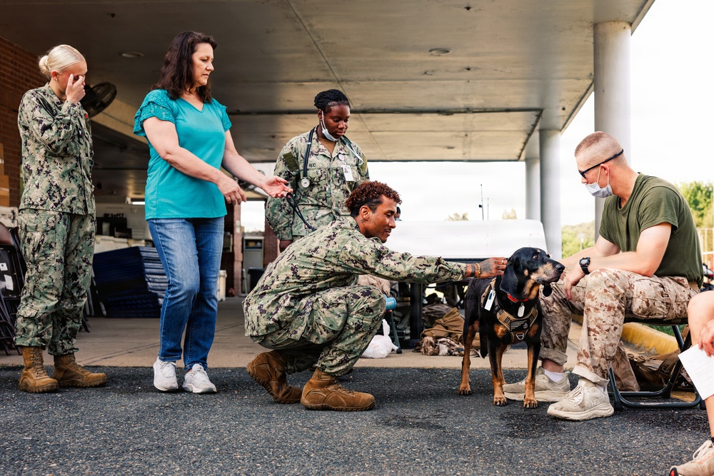 Therapy Dog Bristol visits Marines and Sailors aboard MCB Quantico health clinics