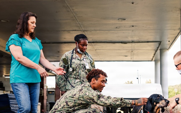 Therapy Dog Bristol visits Marines and Sailors aboard MCB Quantico health clinics