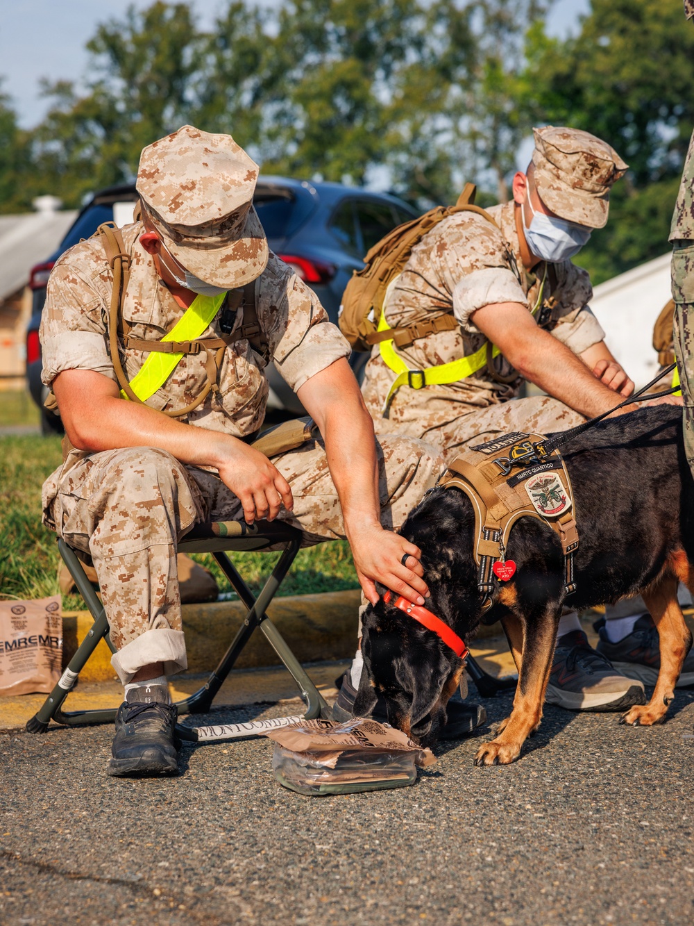Therapy Dog Bristol visits Marines and Sailors aboard MCB Quantico health clinics