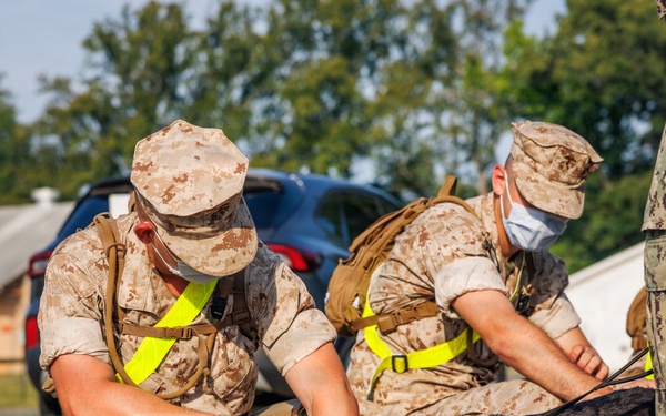Therapy Dog Bristol visits Marines and Sailors aboard MCB Quantico health clinics
