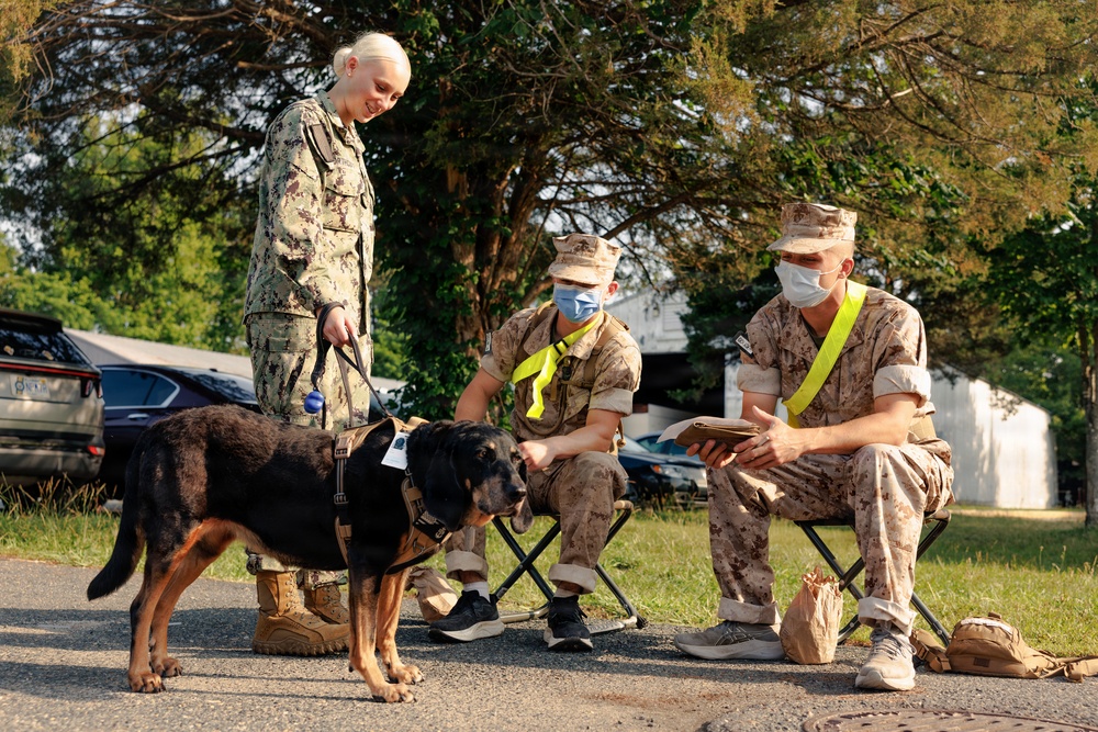 Therapy Dog Bristol visits Marines and Sailors aboard MCB Quantico health clinics