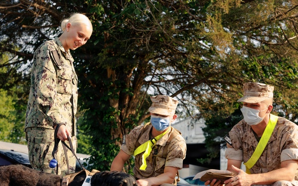 Therapy Dog Bristol visits Marines and Sailors aboard MCB Quantico health clinics