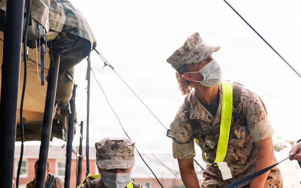 Therapy Dog Bristol visits Marines and Sailors aboard MCB Quantico health clinics