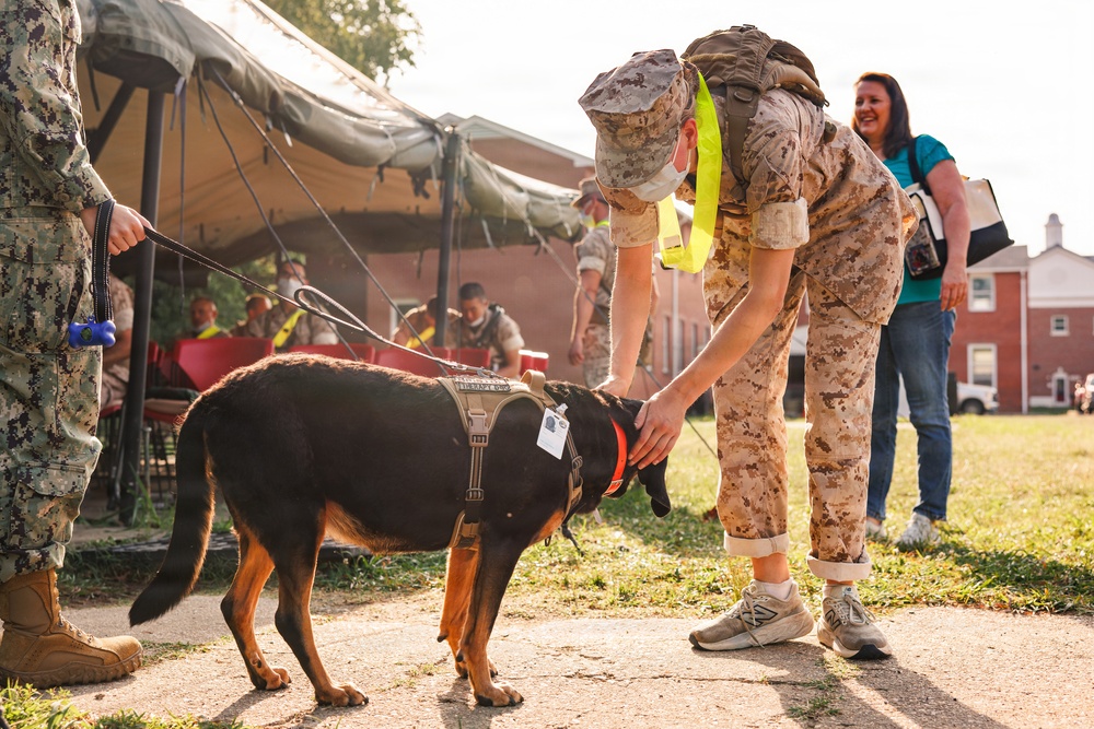 Therapy Dog Bristol visits Marines and Sailors aboard MCB Quantico health clinics