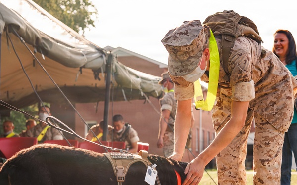 Therapy Dog Bristol visits Marines and Sailors aboard MCB Quantico health clinics