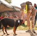 Therapy Dog Bristol visits Marines and Sailors aboard MCB Quantico health clinics